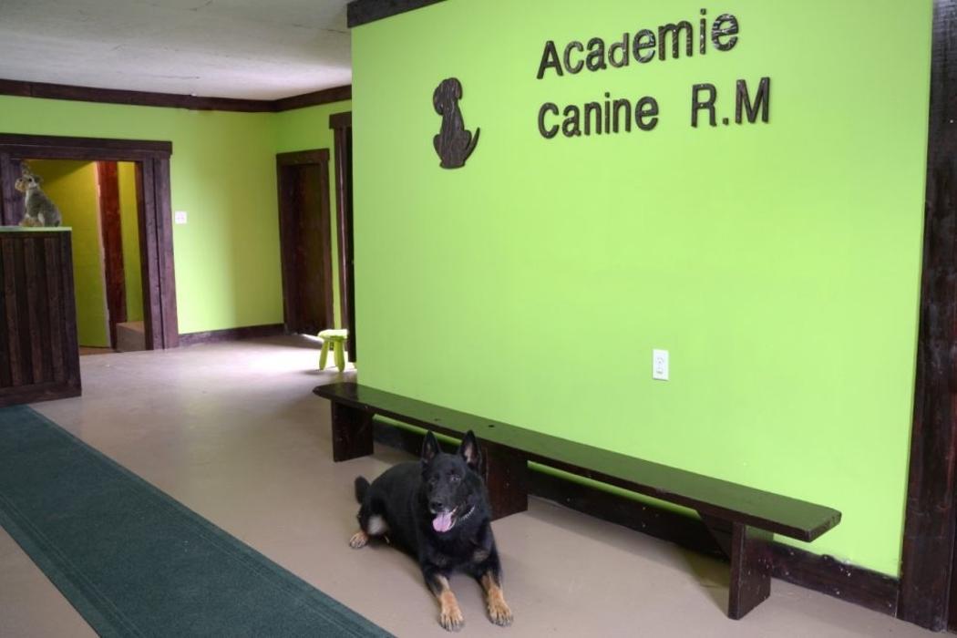 Académie Canine RM