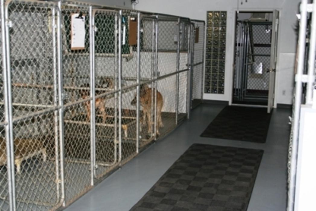 K-9 Komfort Inn