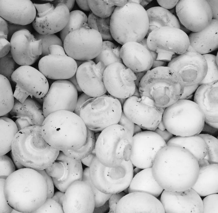 Les Distributeurs Essex Continental Inc