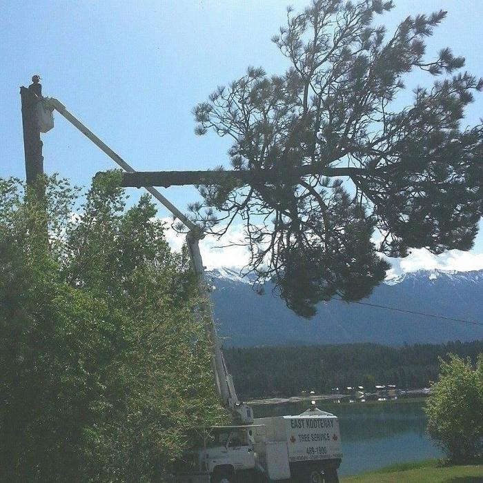 East Kootenay Tree Service