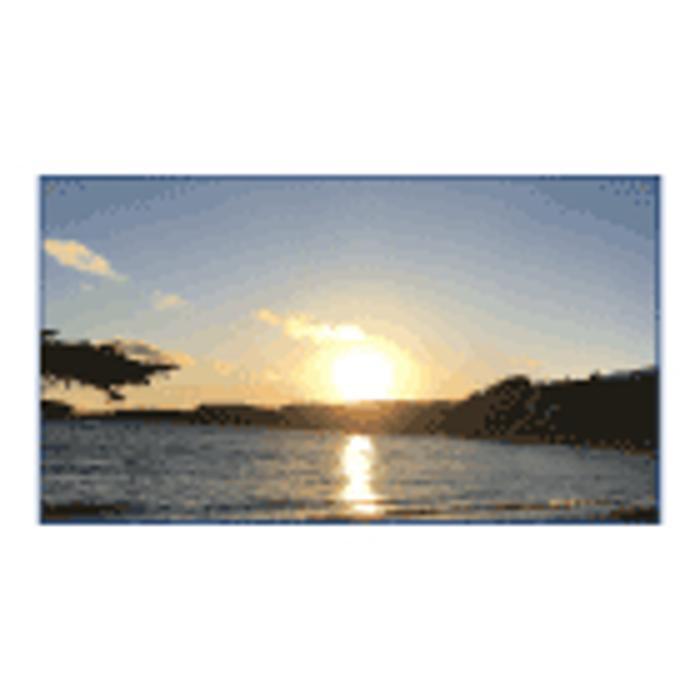 Simone Pelley MSW RSW Cognitive Behavior Therapy