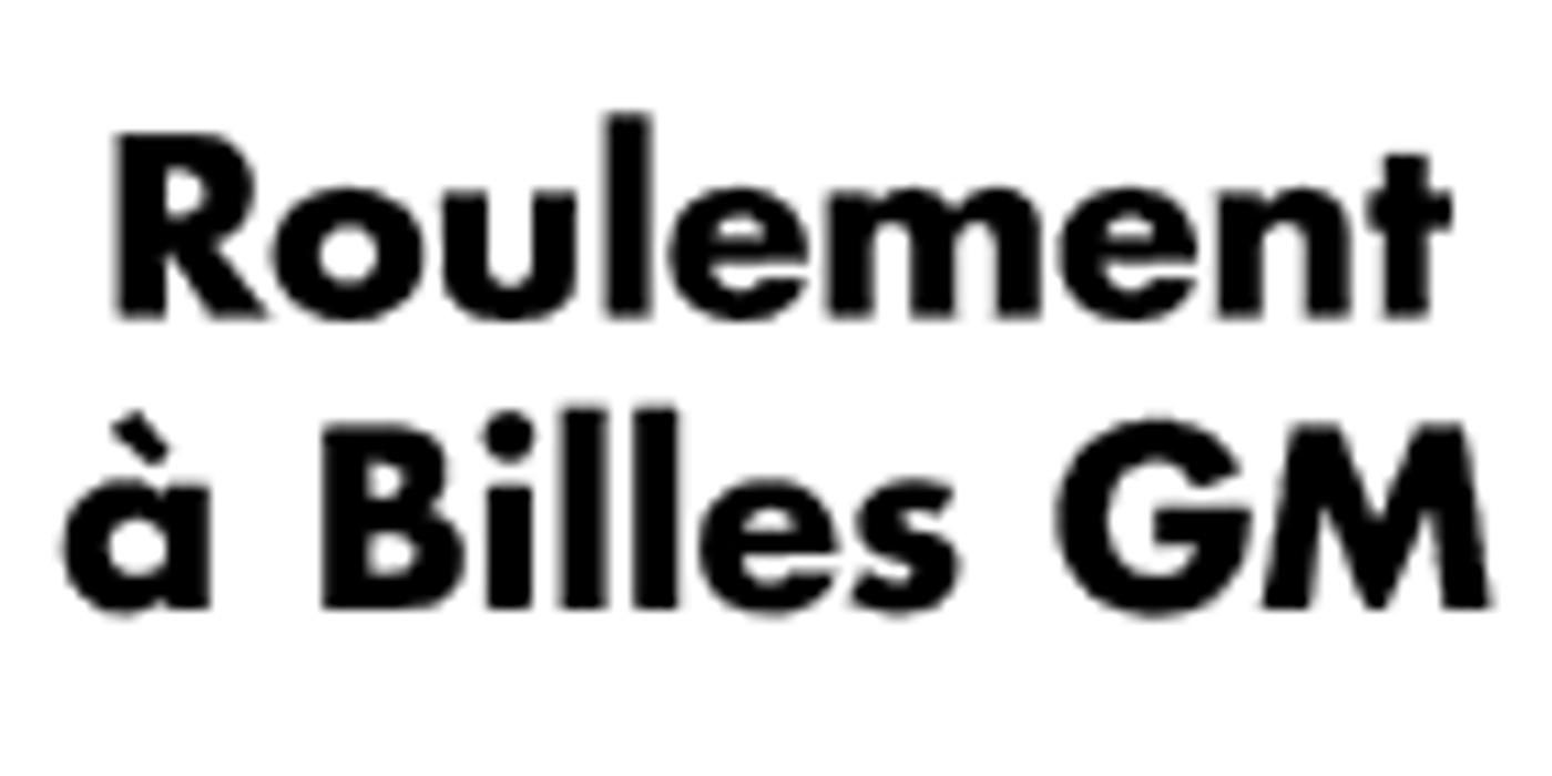 Roulement à Billes GM Inc