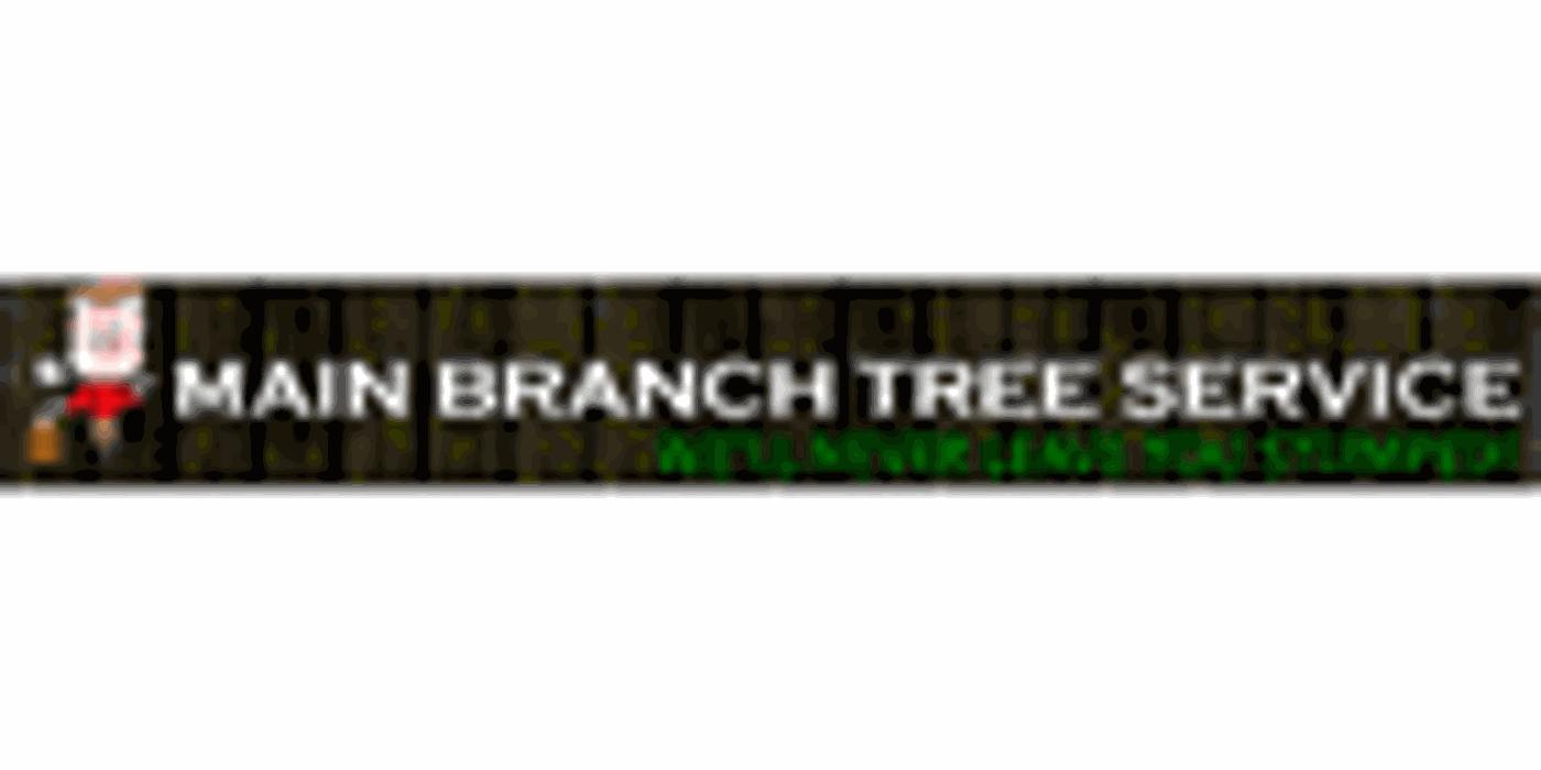 Main Branch Tree Service