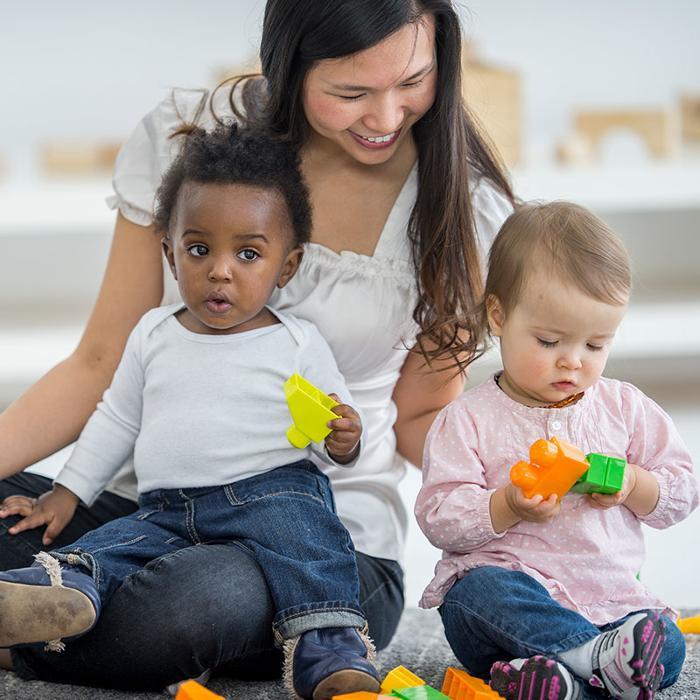 Bureau Coordonnateur La Maison Du Panda