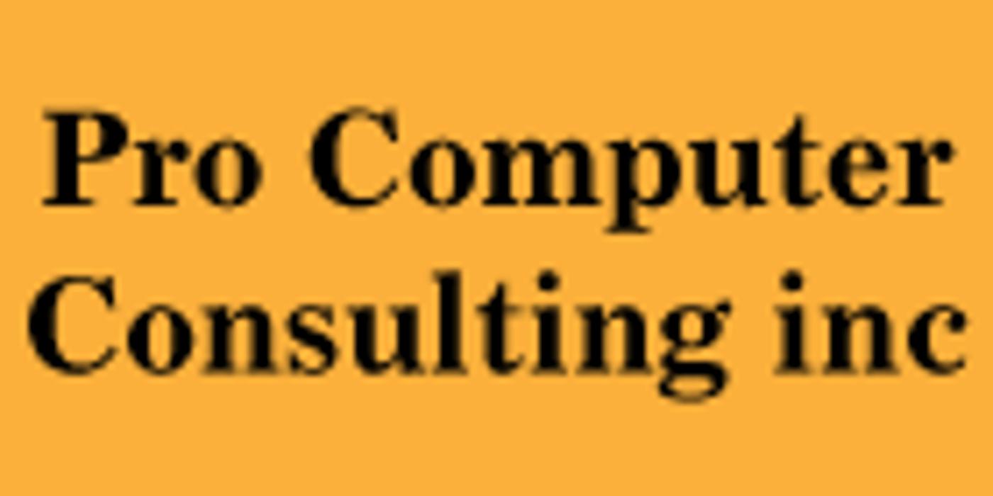 Pro Computer Consulting
