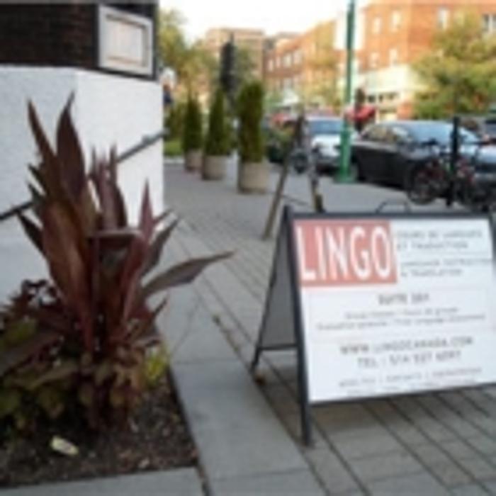 Lingo Canada (Ecole et Traduction)