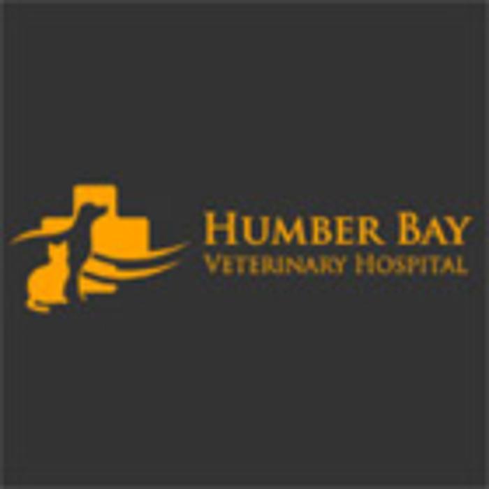 Humber Bay Veterinary Hospital