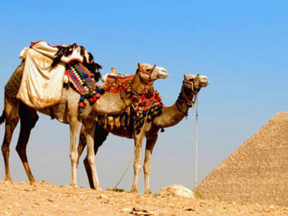 Multi Culture Travel