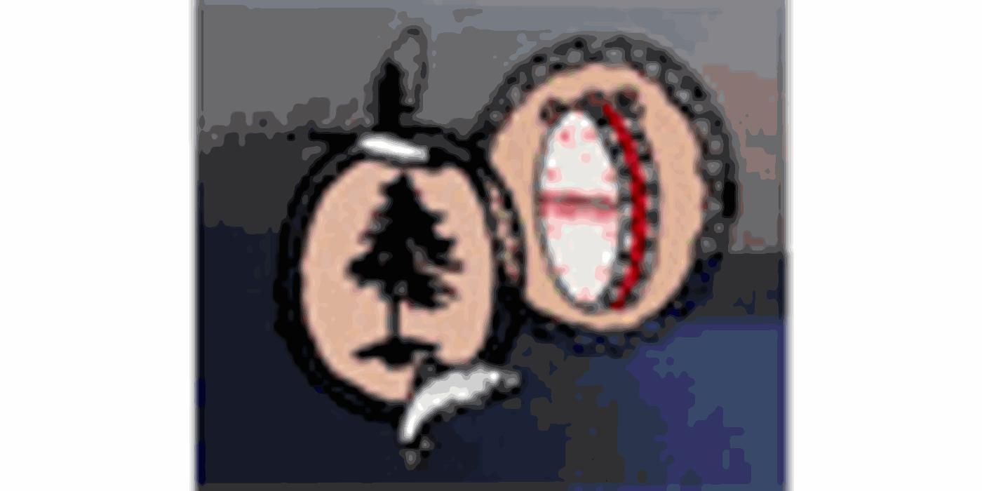 Grand Council Of The Crees Of Quebec