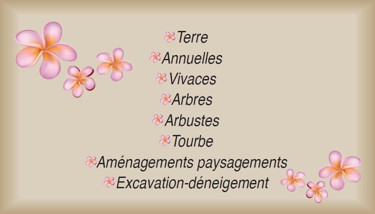 Centre jardin et travaux Pamaka