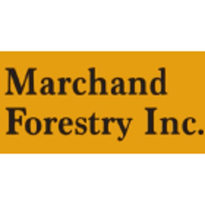 Marchand Forestry inc