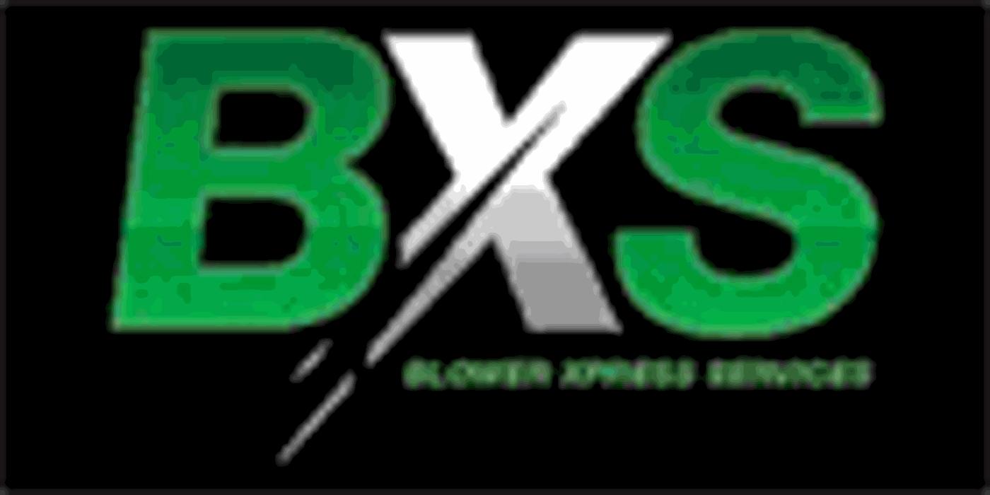 Blower Xpress Services