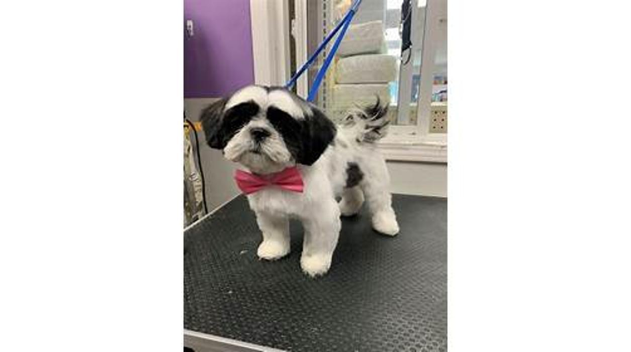 Best West Pet Foods Inc