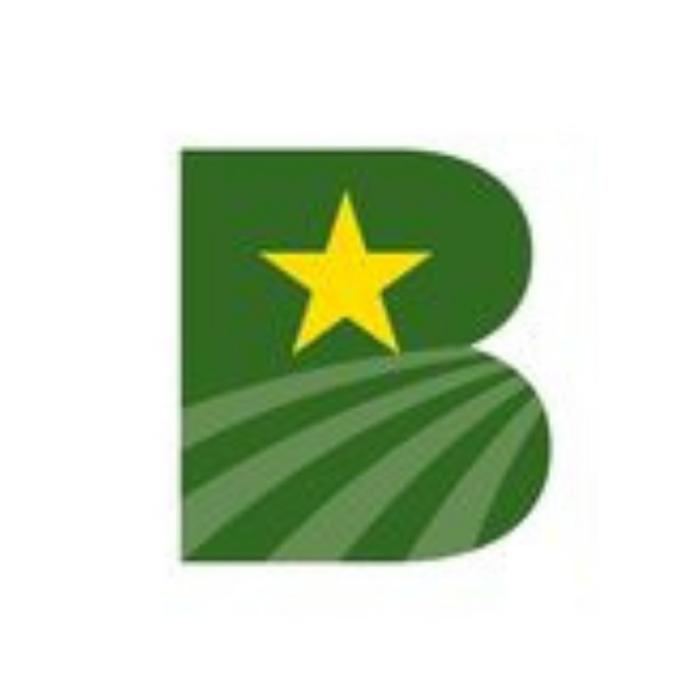 Bramlett Implement Inc