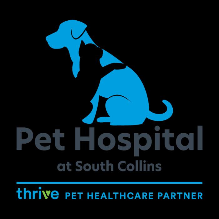 Pet Hospital at South Collins, A Thrive Pet Healthcare Partner