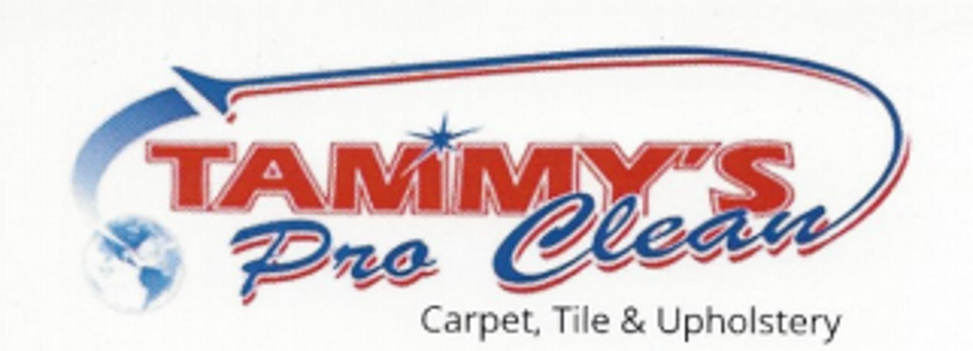 Tammy's Pro Clean