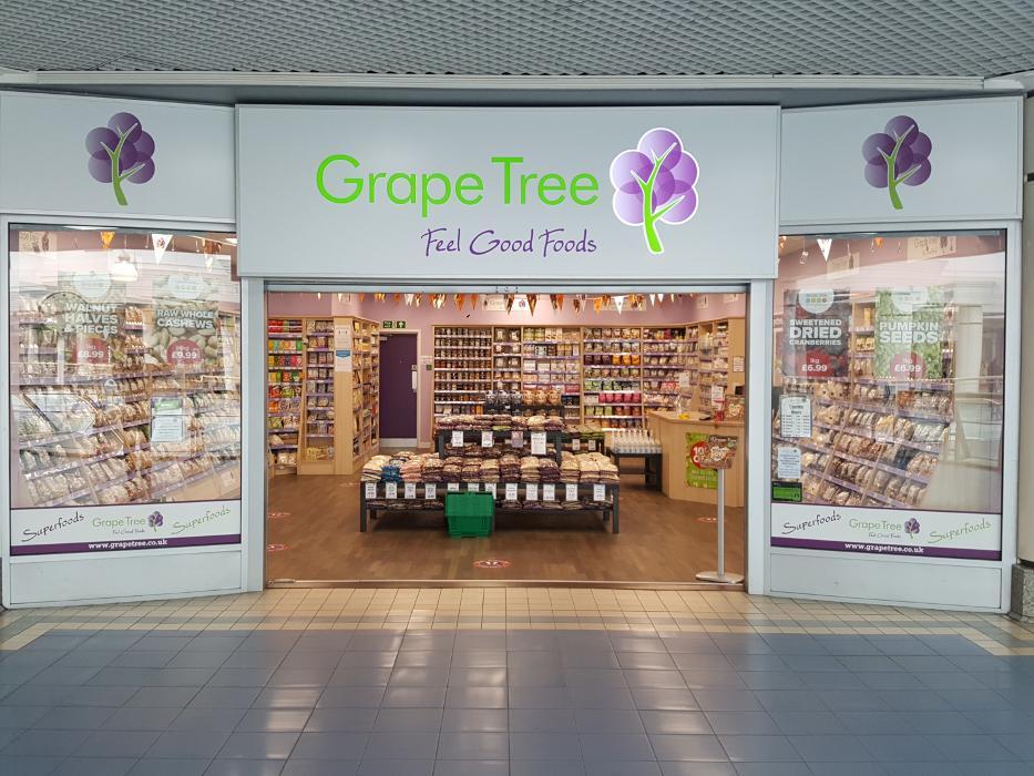 Grape Tree Bristol