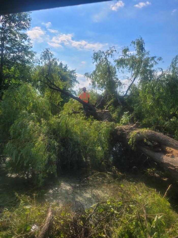 Clearing Apes Landscaping & Tree Services