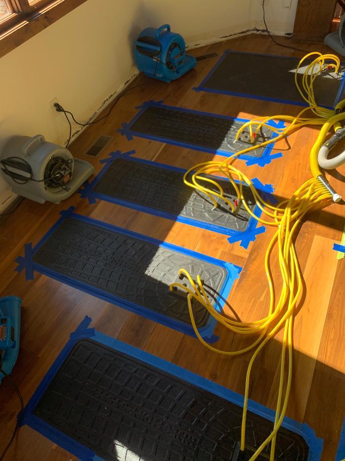 24 HR Flood Response Inc