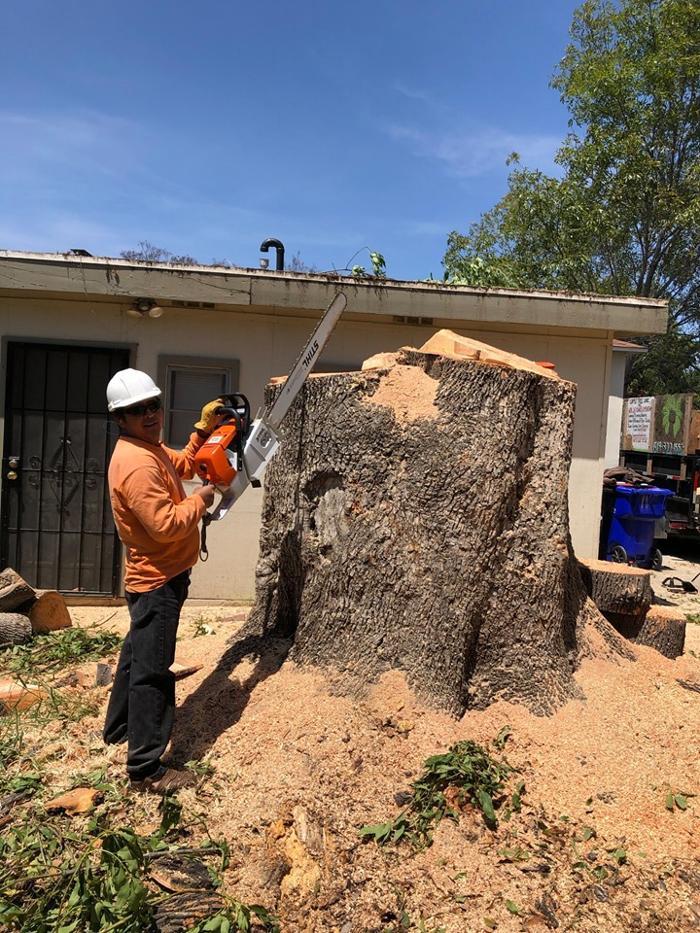 Lopez Tree Care