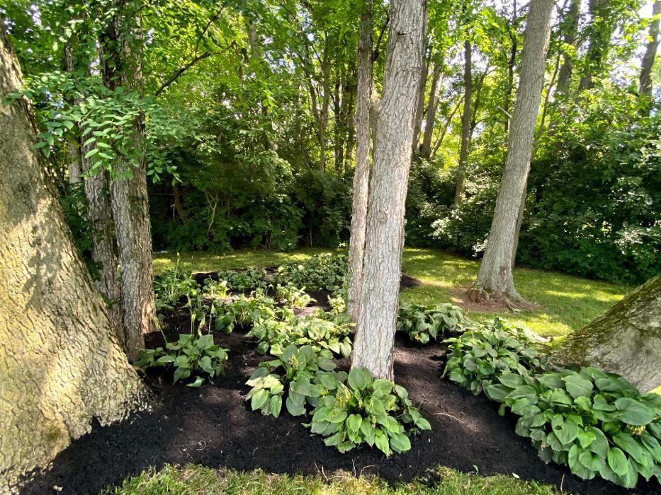 Dominion Lawn and Landscaping LLC