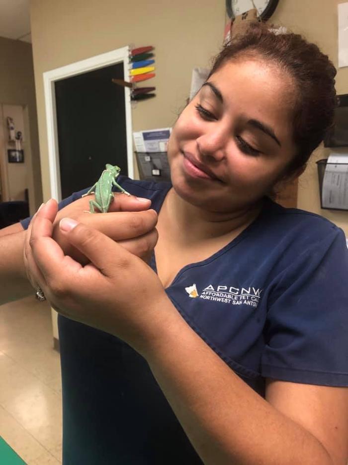 Covenant Care Animal Hospital