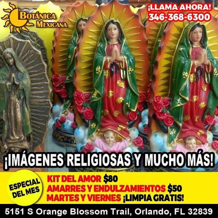 Botanica Mexicana - Fl