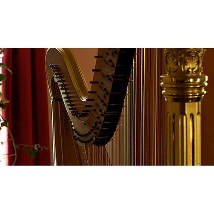 Andrew Johnson Funeral Services