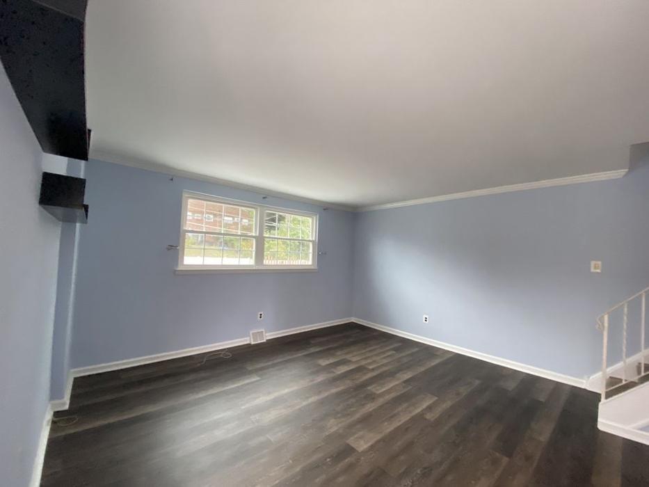 Precision Works Painting