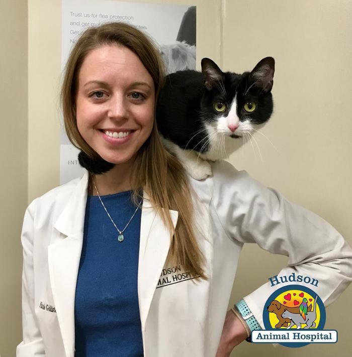 Hudson Animal Hospital, A Thrive Pet Healthcare Partner