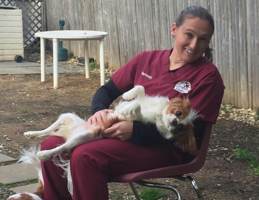 Falls Road Veterinary Hospital, A Thrive Pet Healthcare Partner