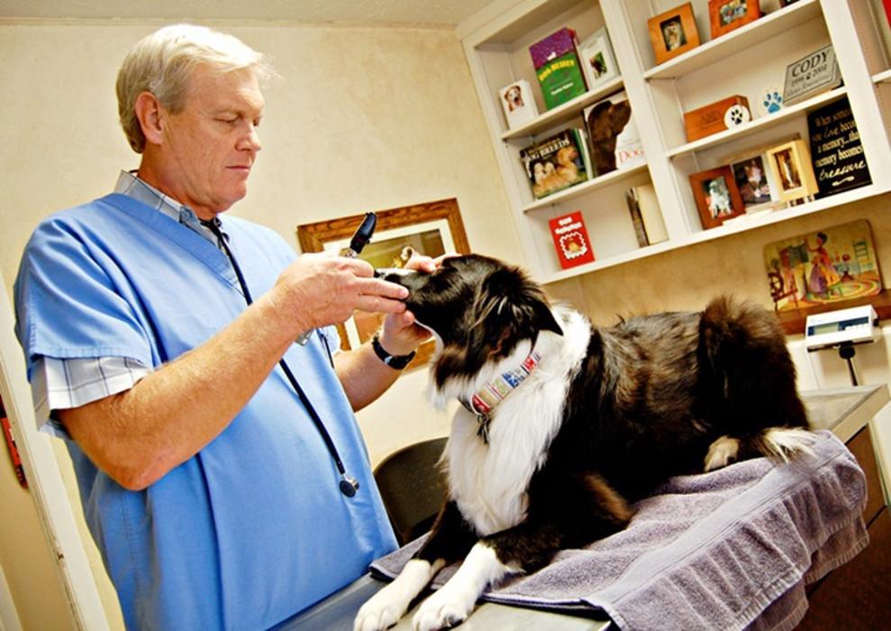 Animal Medical Clinic