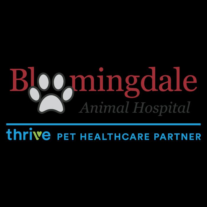 Bloomingdale Animal Hospital, A Thrive Pet Healthcare Partner