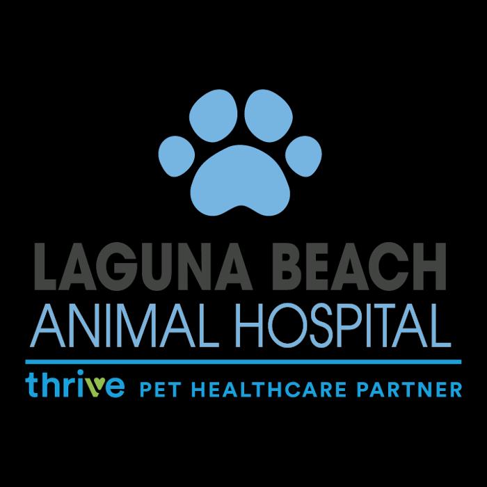 Laguna Beach Animal Hospital : LAGUNABEACH