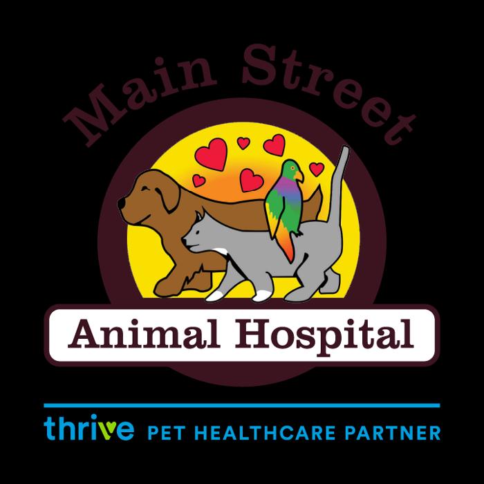 Main Street Animal Hospital, A Thrive Pet Healthcare Partner