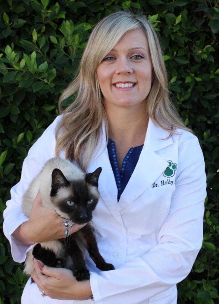 Care & Comfort Veterinary Hospital, A Thrive Pet Healthcare Partner