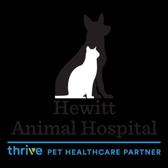 Hewitt Animal Hospital, A Thrive Pet Healthcare Partner