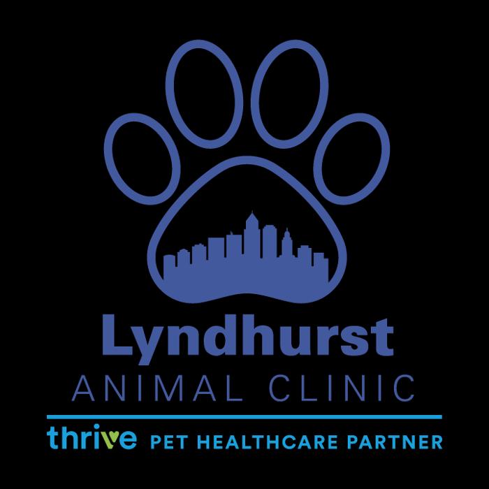 Lyndhurst Animal Clinic, A Thrive Pet Healthcare Partner