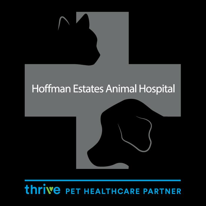 Hoffman Estates Animal Hospital, A Thrive Pet Healthcare Partner