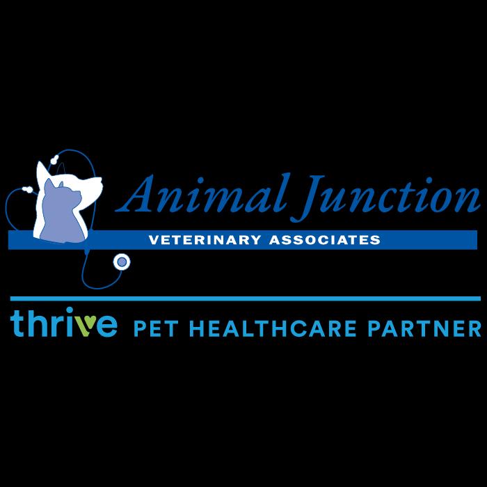 Animal Junction Veterinary
