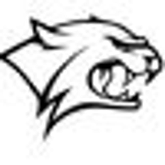 Wildcat Dumpster Rentals