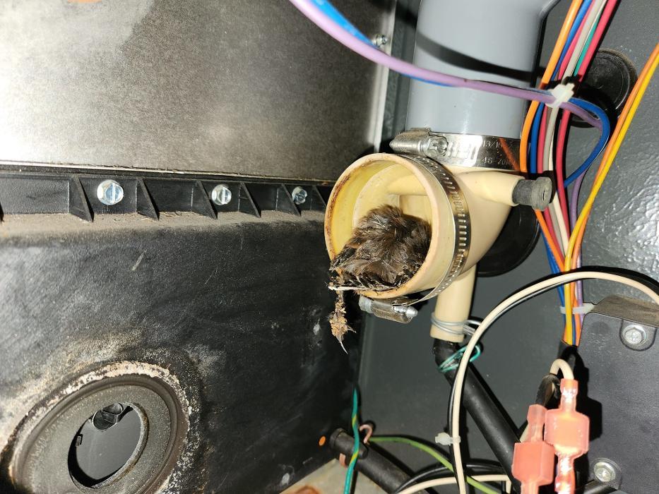 Buffalo Plumbing & Heating