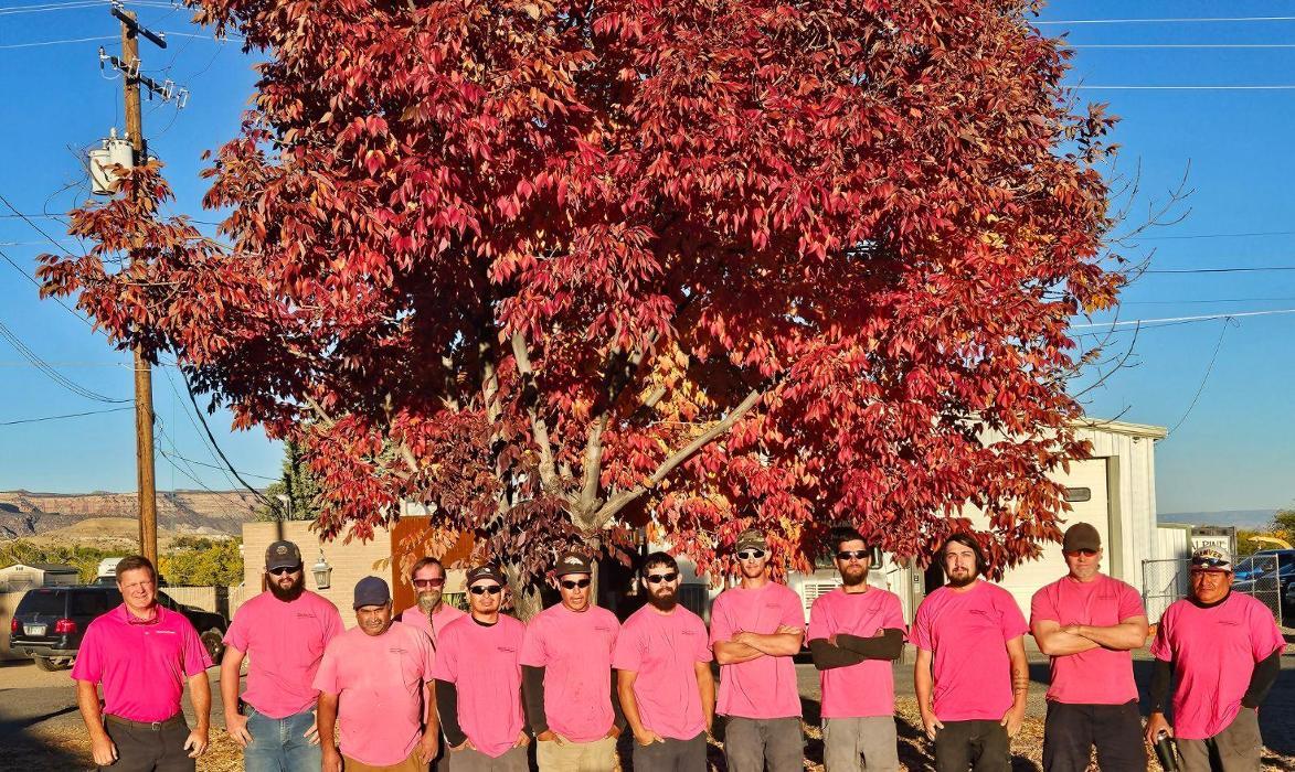 Alpine Tree Service, LLC