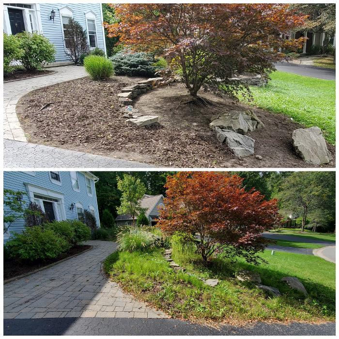 Fiorella Lawn & Landscaping