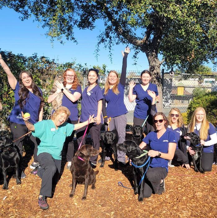 Acorn Hills Animal Center / Amador Veterinary Emergency Clinic