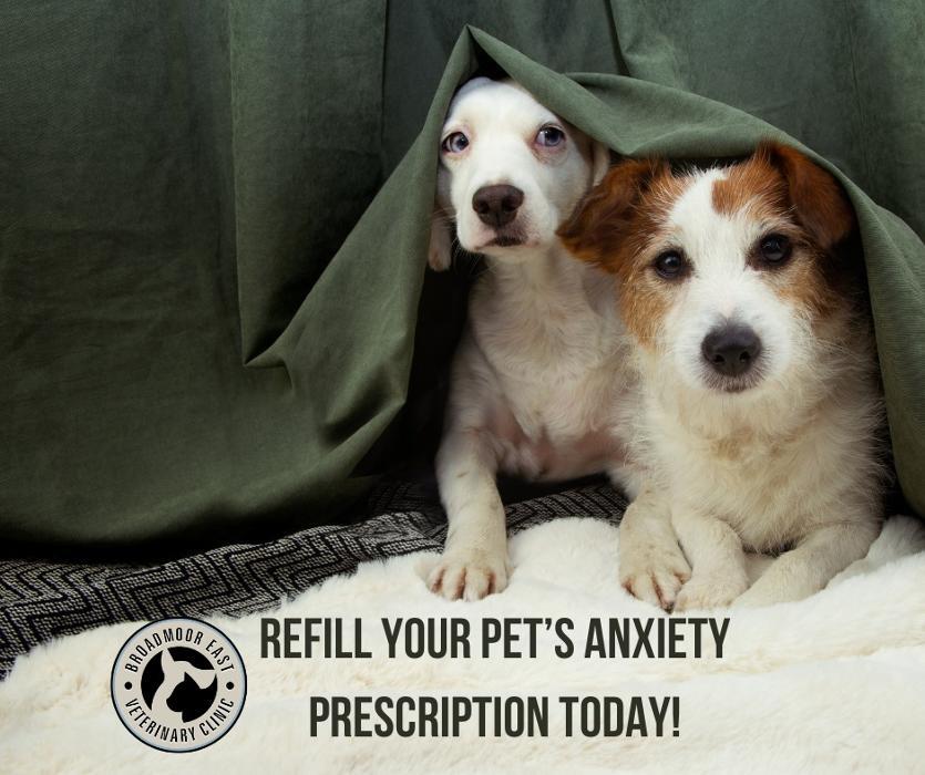 Broadmoor East Veterinary Clinic