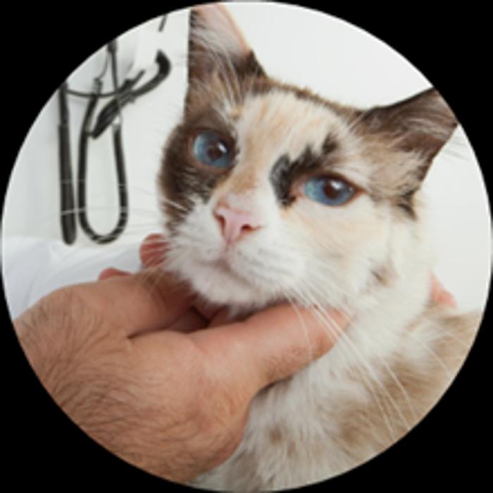 Saint Thomas Veterinary Center