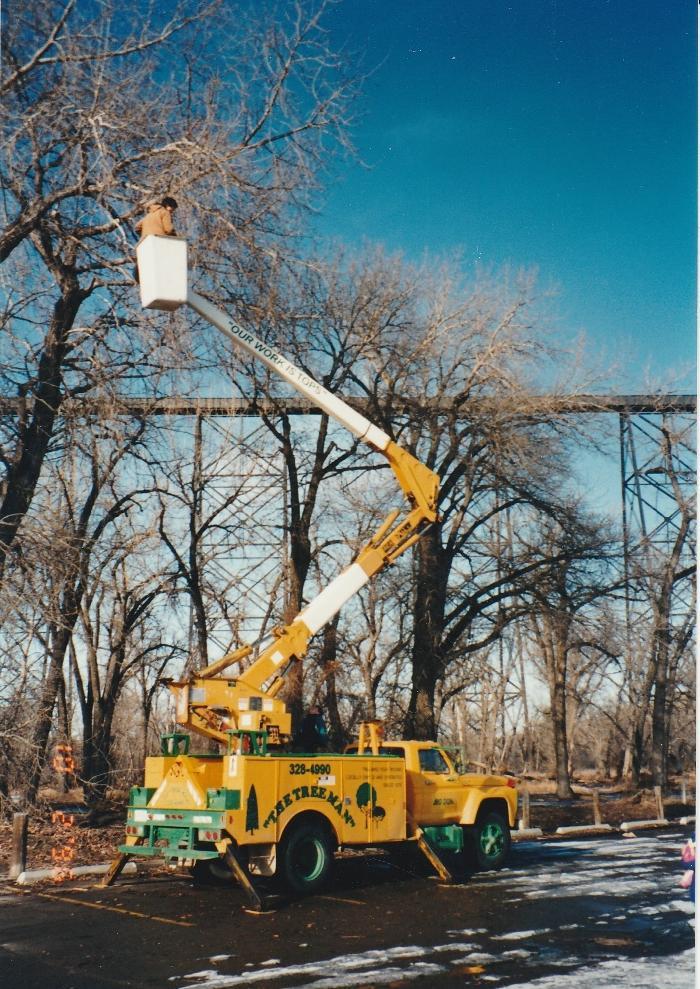 The Tree Man and Son