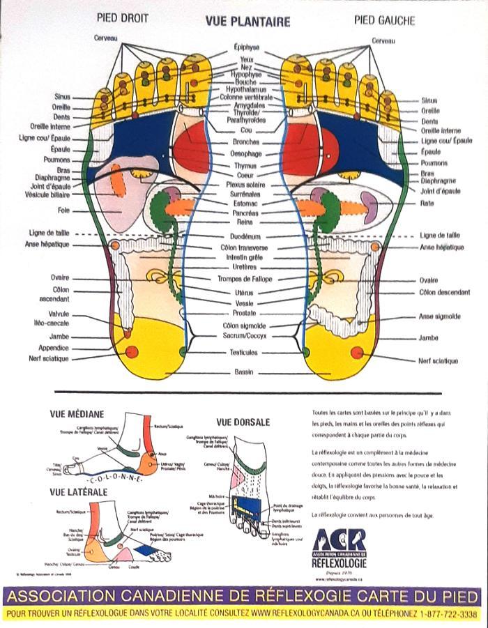 Zenensoi Naturopathe