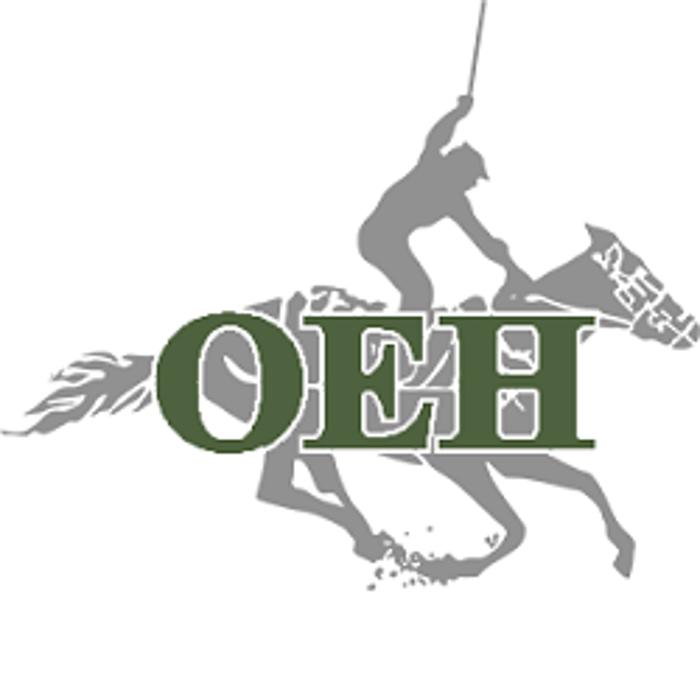 Ocala Equine Hospital